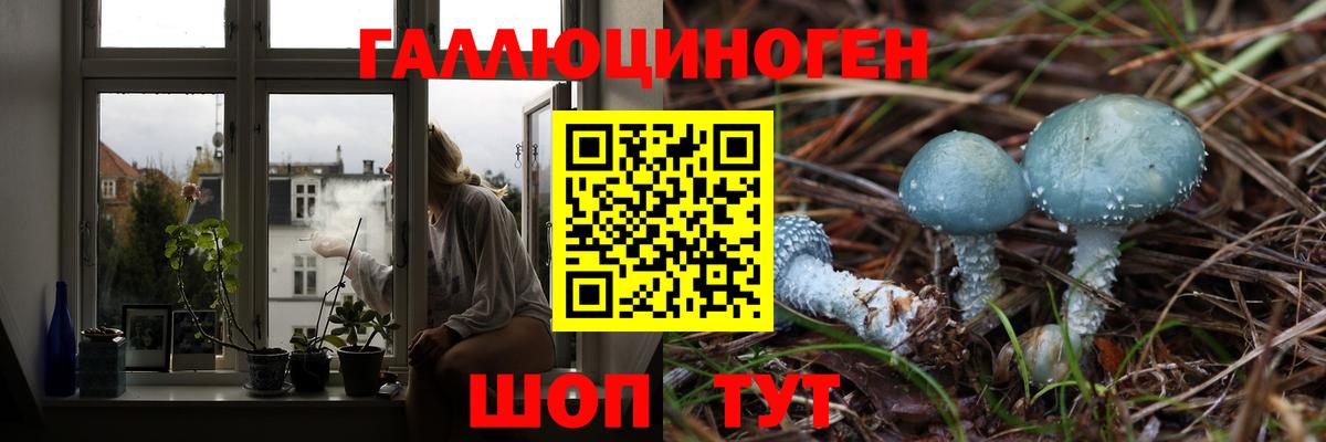 Галлюциногенные грибы ЛСД Всеволожск